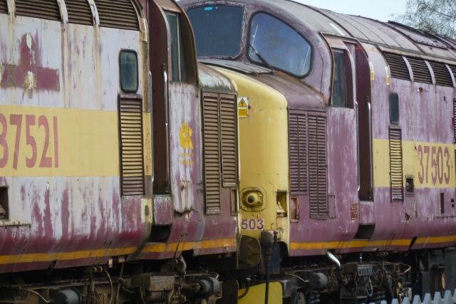ad37503.jpg