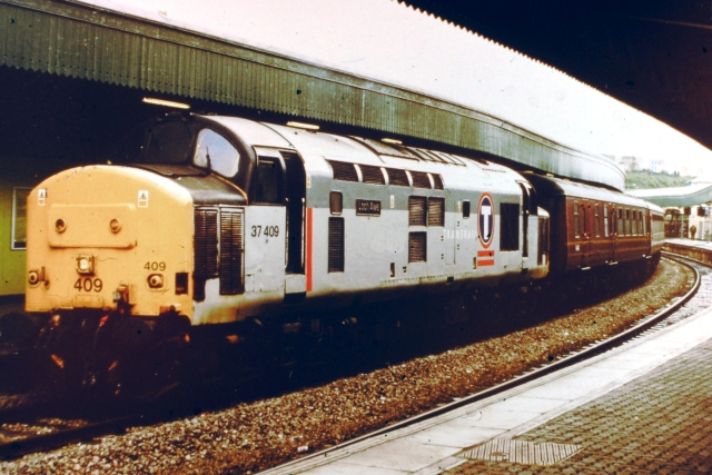 bh37409.jpg