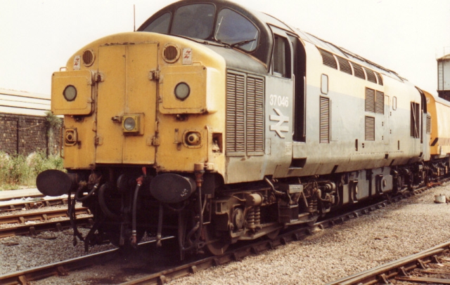 bs37046.jpg