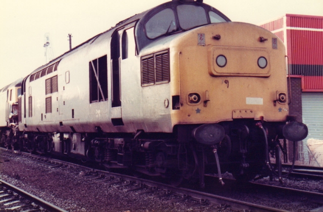 bs37155.jpg