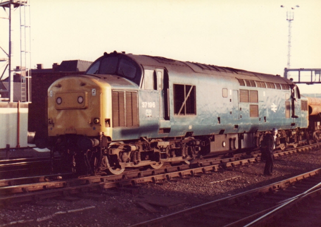 bs37196.jpg