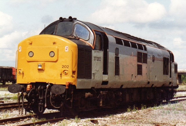 bs37202.jpg