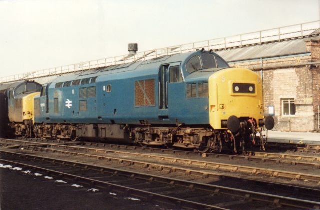 bs37276.jpg