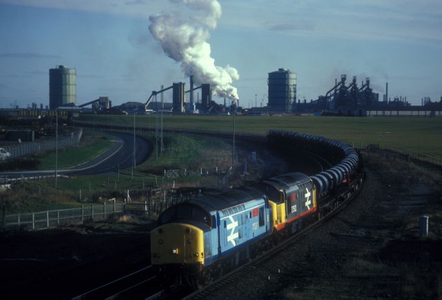 ck37501.jpg