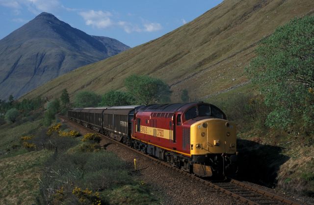 ck37503.jpg