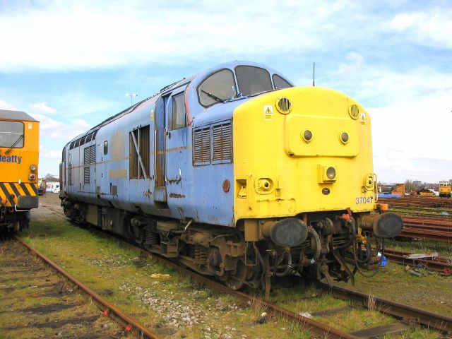 dc37047.jpg