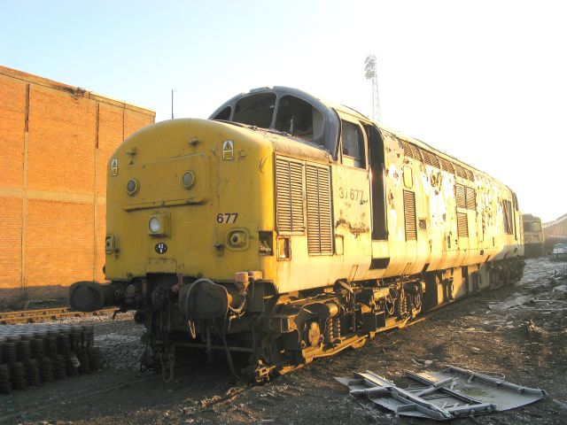 dc37677.jpg