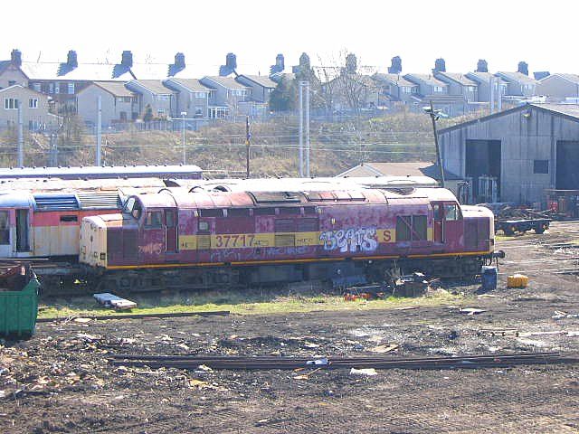 dc37717.jpg