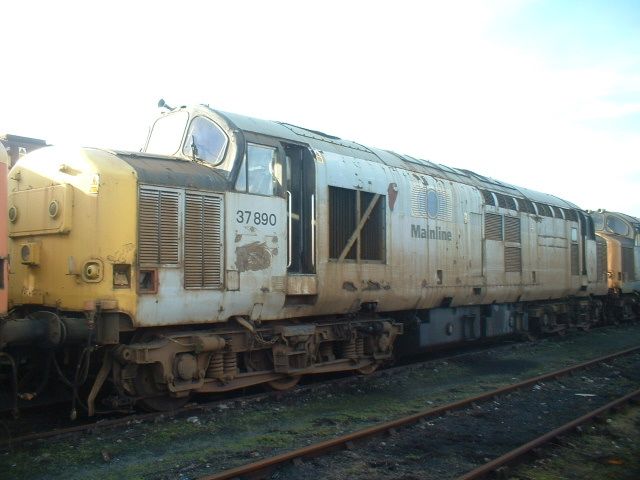 dc37890.jpg