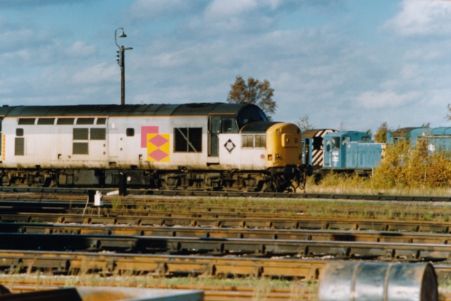 dw37047.jpg