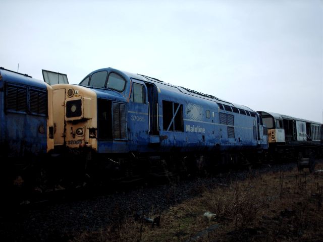 gb37065.jpg