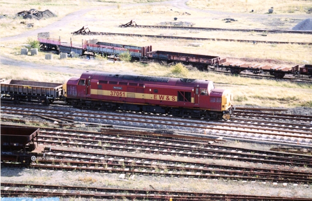 gc37051_2.jpg