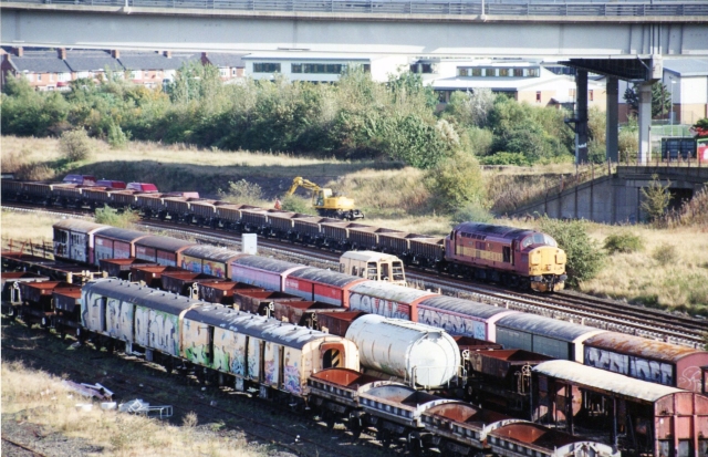 gc37051_3.jpg