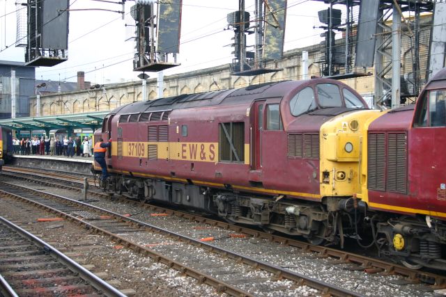 gc37109.jpg