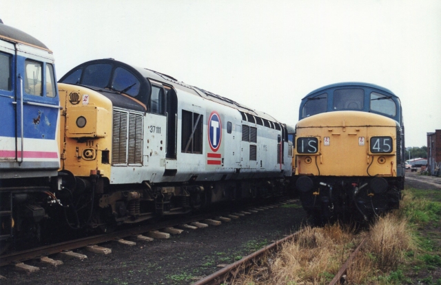 gc37111.jpg