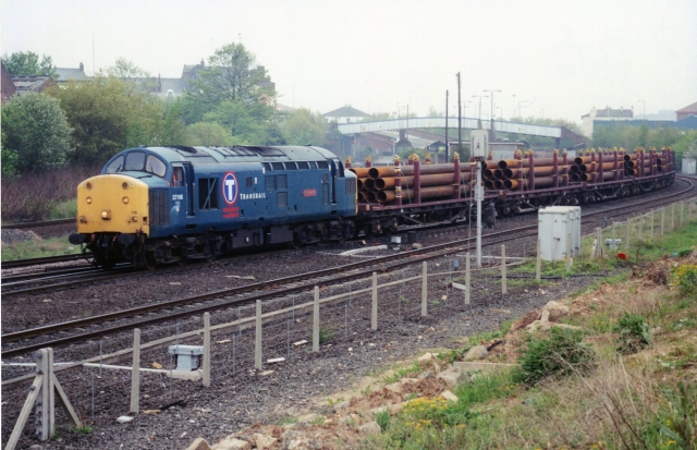 gc37116_4.jpg