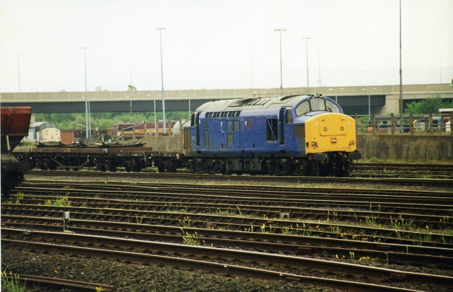 gc37375.jpg