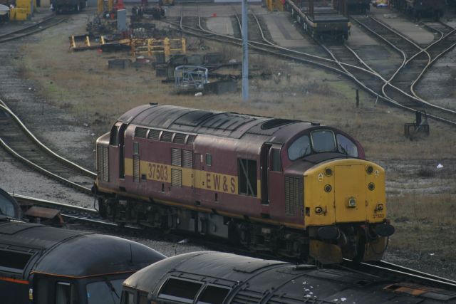 gc37503.jpg