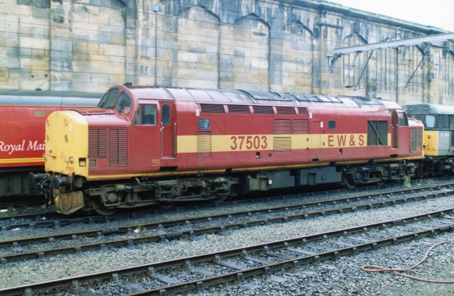 gc37503_3.jpg