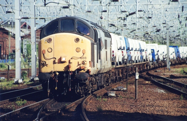 gc37603_2.jpg