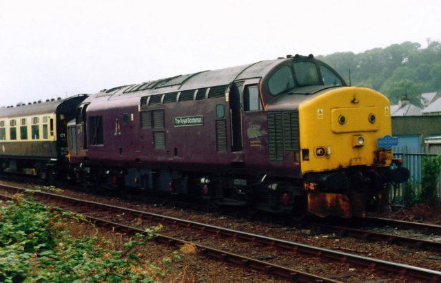 jp37401_4.jpg