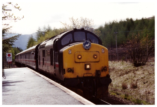 ma37401.jpg