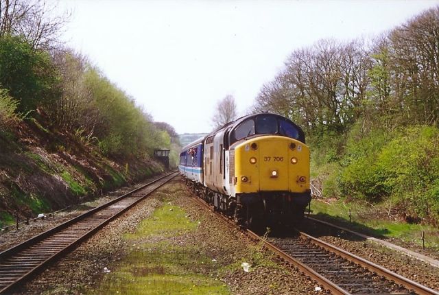 ml37706.jpg