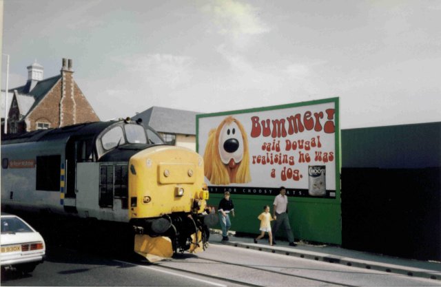 nb37425.jpg