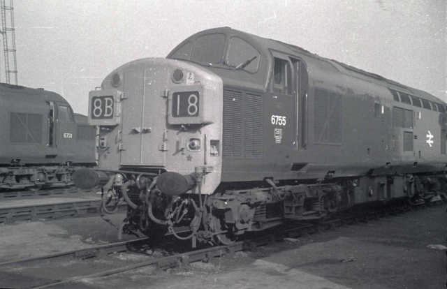 nb6755.jpg