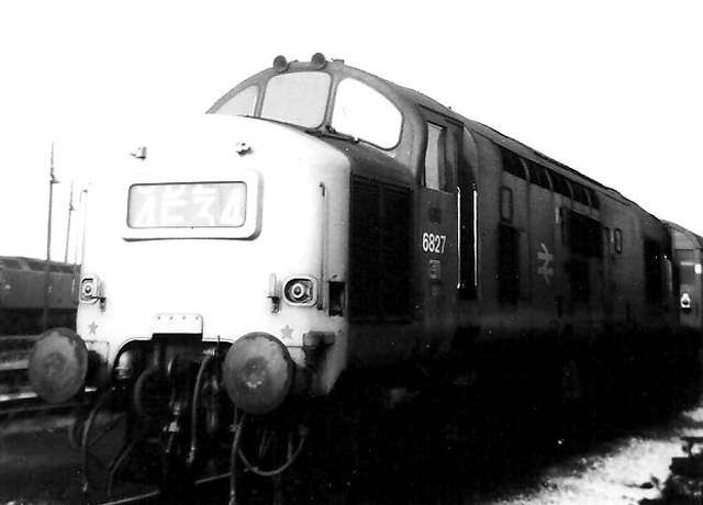 ns6827.jpg