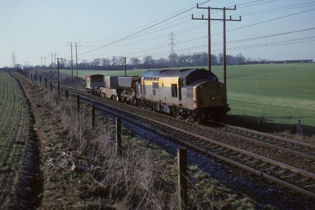 rg37140.jpg