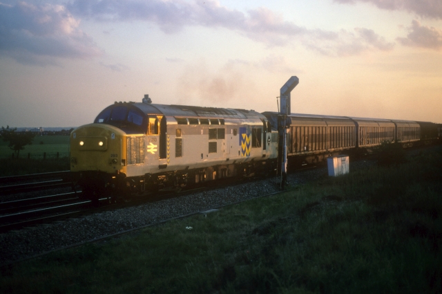 rg37293.jpg