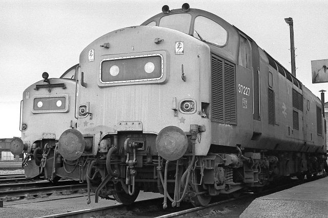 rm37227.jpg