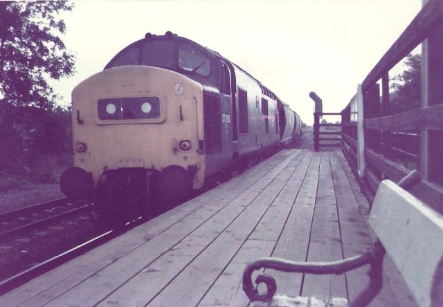 rm37252.jpg