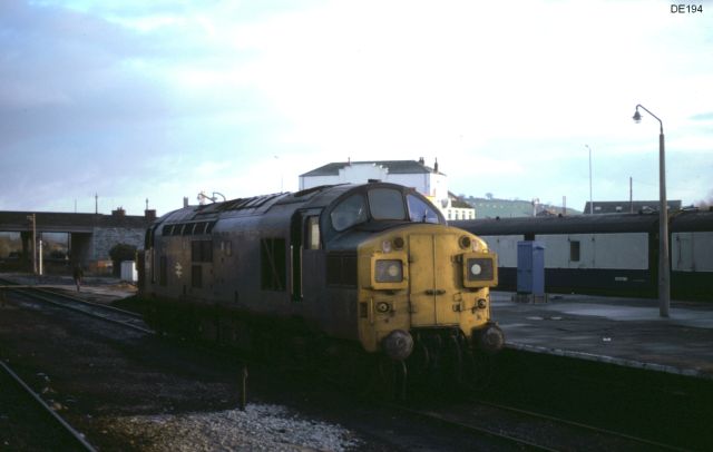 rt37049.jpg