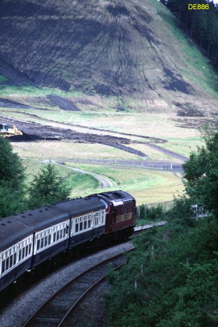 rt37051_2.jpg