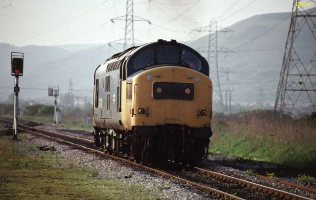 rt37146_4.jpg