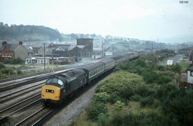 rt37247_3.jpg