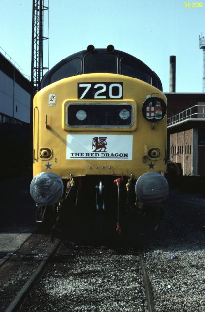 rt37301_3.jpg