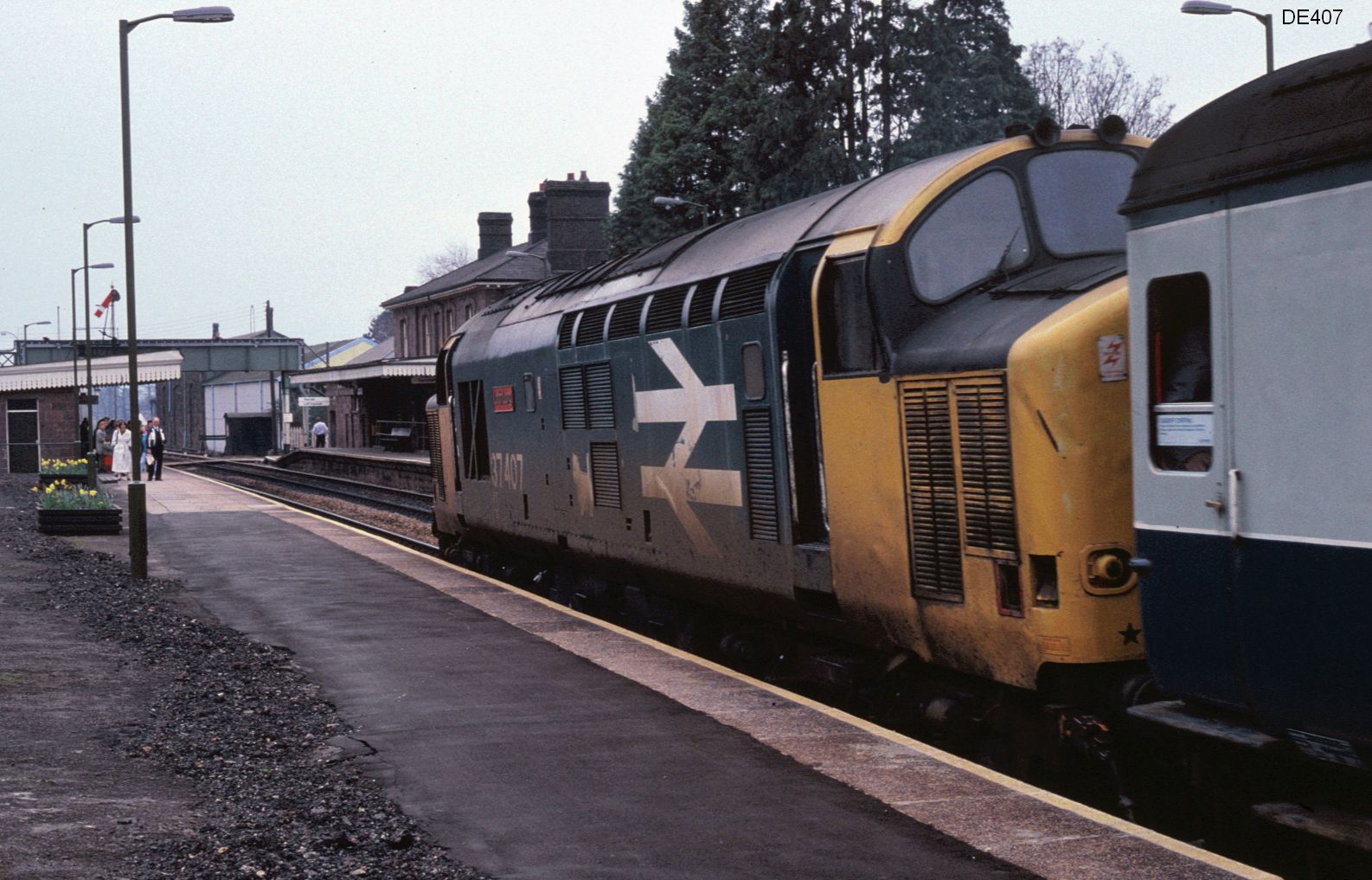 rt37407_3.jpg