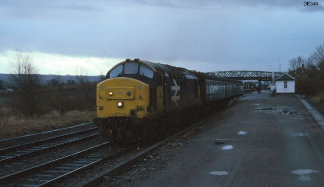 rt37414_3.jpg