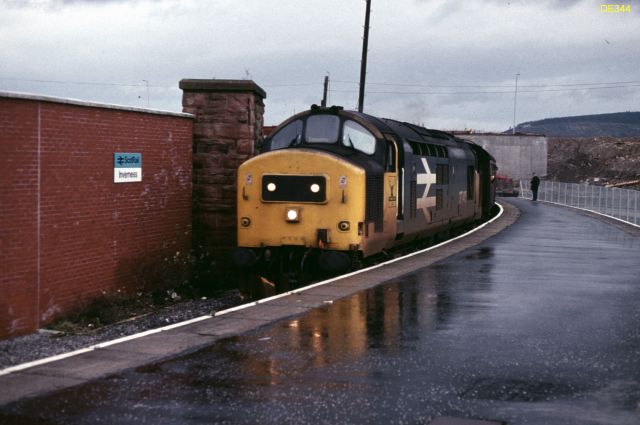 rt37415.jpg
