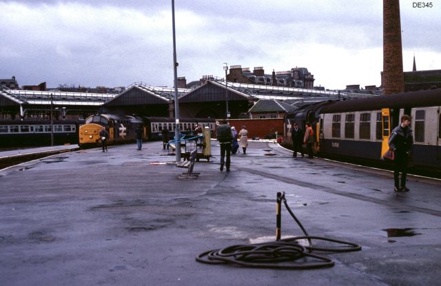 rt37415_2.jpg