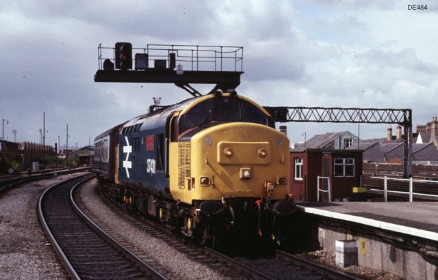 rt37431_7.jpg
