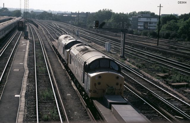 rt37606_2.jpg