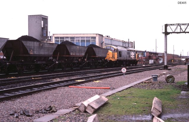 rt37704_2.jpg