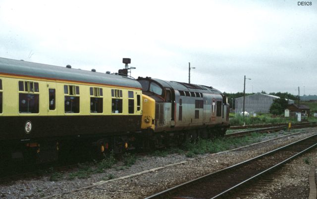rt37897_6.jpg