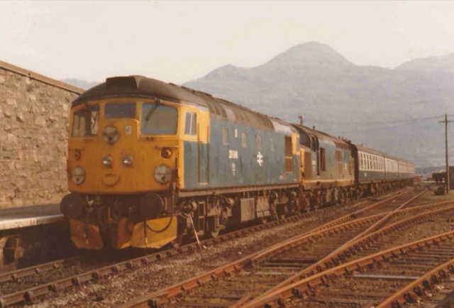 sb37017_6.jpg
