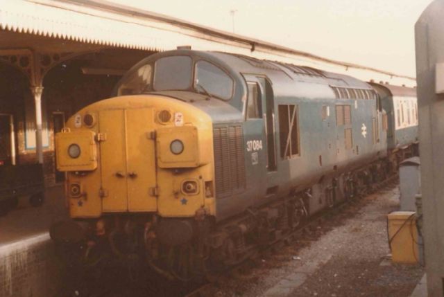 sb37084.jpg