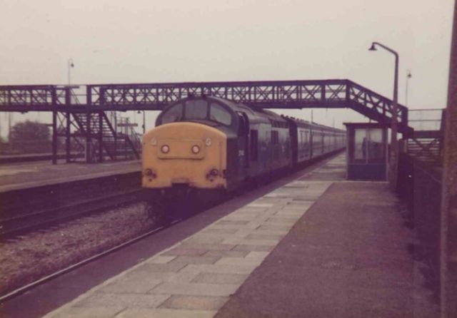 sb37143.jpg